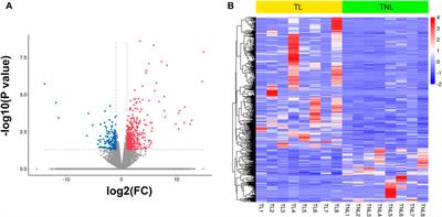 The Role of Formyl Peptide Receptor 1 in Uterine Contraction During Parturition